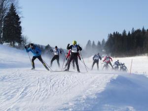 普雷芒翁La Serre Nelly Philippe的一群人沿着雪覆盖的斜坡滑雪