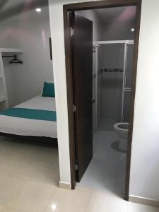 圣玛尔塔Mayva AprtaHotel的一间带一张床、淋浴和卫生间的浴室