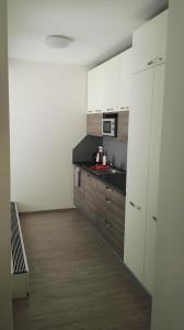布尔诺布尔诺阿尔法全景公寓的厨房配有白色橱柜和台面