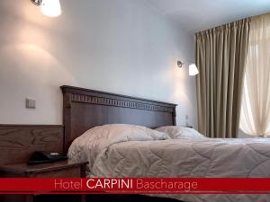 巴斯克卡拉奇卡皮尼酒店的卧室内的一张带木制床头板的床