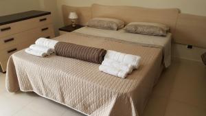 玛丽娜迪曼卡维萨Appartamenti Emblema Mancaversa的一间卧室配有两张带毛巾的床