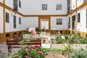 塞维利亚Apartamento Jardin de Santa Paula的相册照片