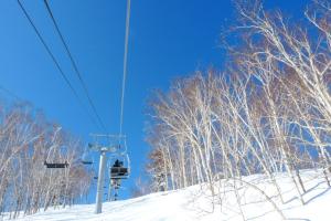 富良野Shin Furano Prince Hotel的雪覆盖的山坡上树木覆盖的滑雪缆车