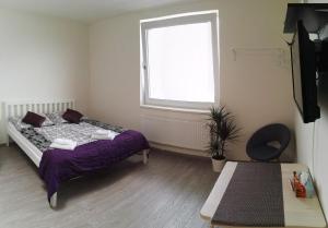 布尔诺阿尔法全景公寓客房内的一张或多张床位