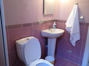 安塔利亚慕尼黑膳食公寓的粉红色的浴室设有卫生间和水槽