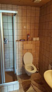 施图拜河谷新施蒂夫特Gasperlerhof的浴室配有卫生间、淋浴和盥洗盆。