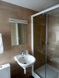 泰晤士河畔金斯顿华威旅舍的一间带水槽和淋浴的浴室