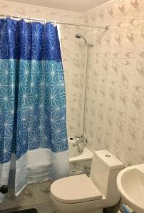 奇廉Cabañas Alto Nativo的一间带卫生间和淋浴帘的浴室
