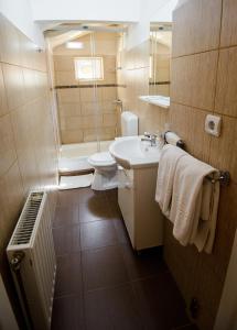 布拉索夫斯法图雷住宅广场酒店的浴室配有卫生间、盥洗盆和淋浴。