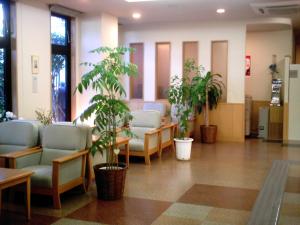 大垣鲁特酒店-大垣因特恩旅馆 的医院的候诊室,配有椅子和盆栽植物