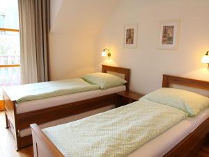 迪耶河畔弗拉诺夫Penzion INspira的一间卧室设有两张床和窗户。