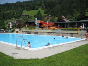 德劳塔尔贝格Hotel Berghof的一群人在游泳池游泳
