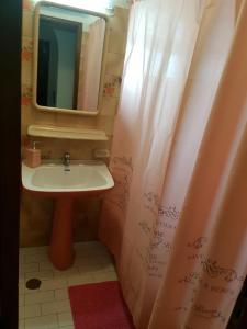 夫塞塔夫塞塔公寓的浴室设有水槽、镜子和浴帘