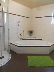阿伯湖豪斯豪弗-弗瑞恩豪斯度假屋的带淋浴和绿色地毯的浴室