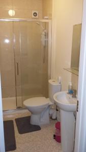 都柏林皮亚之家住宿加早餐旅馆的浴室配有卫生间、盥洗盆和淋浴。