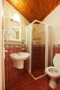 达利安达利安旅馆的浴室配有卫生间、盥洗盆和淋浴。