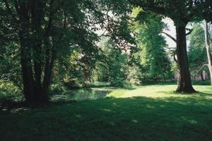Gudme布罗霍姆城堡酒店的树木和水体的公园