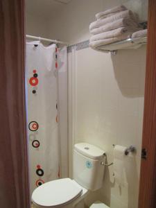 泰拜尔盖马辛旅舍的一间带卫生间和淋浴帘的浴室