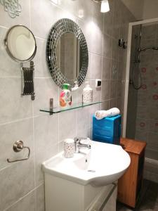 诺瓦拉戈雷皮公寓的一间带水槽和镜子的浴室