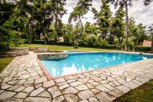 撒尼海滩Beautiful Holiday Villa in Sani的一座带石头庭院的庭院中的游泳池的形象