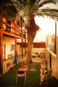 埃拉特Pura Vida Eilat的一间客厅,配有棕榈树和椅子