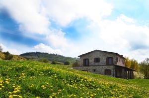 Sasso FeltrioFattoria Bio L'A Ceccoli的一座古老的石头房子,位于山丘上,种着黄色的花