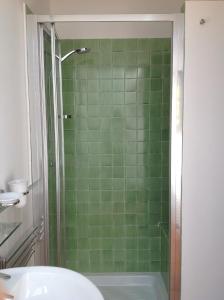 圣吉米纳诺Teruzzi Country House的带淋浴的浴室和绿色瓷砖墙