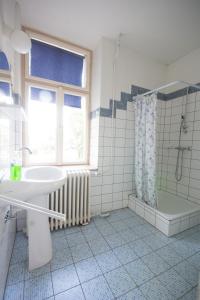 巴拉顿城堡Bendegúz Villa的一间带水槽和淋浴的浴室