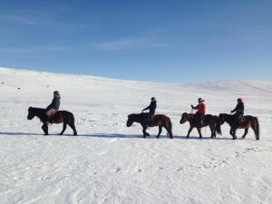 NalayhNomad Horse Camp的一群在雪中骑马的人