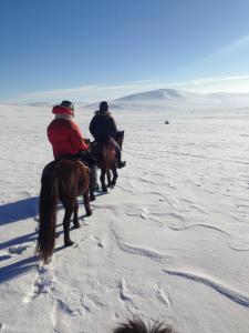 NalayhNomad Horse Camp的两个人在沙漠里骑马