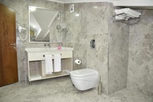 伊斯坦布尔The Elegant Hotel的浴室配有卫生间、盥洗盆和淋浴。
