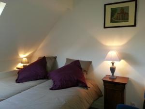 瓦兹河畔欧韦瓦蓝堡旅馆的一张位于带两个紫色枕头的房间的床铺