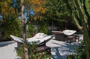 圣安东尼奥湾伊比萨秘密绿洲公寓 - 仅限成人入住的庭院设有两把躺椅和一棵树