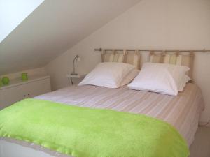 普瓦捷Appartements Les remparts d'Alienor的一间卧室配有一张带绿床单和枕头的床。