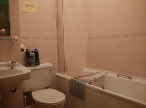 牛津River Hotel的浴室配有卫生间、浴缸和水槽。