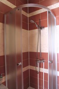 乌法多布尔兹德拉维奇酒店的浴室里设有玻璃门淋浴