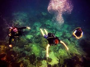 诗巫岛Rimba Resort - Dive Centre & Spa的相册照片