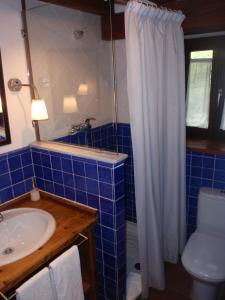 埃兰特克索韦Casa Rural Ogoño Mendi的蓝色瓷砖浴室设有水槽和卫生间