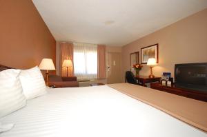 加登城马格努森红男爵酒店的酒店客房设有一张大床和一台电视。