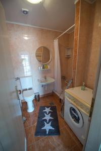 斯拉沃尼亚布罗德Apartman Mm的一间带卫生间和水槽的小浴室