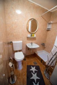 斯拉沃尼亚布罗德Apartman Mm的一间带卫生间、水槽和镜子的浴室