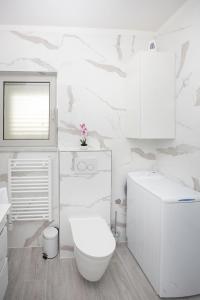 特罗吉尔Villa Apartments Art的白色的浴室设有卫生间和水槽。