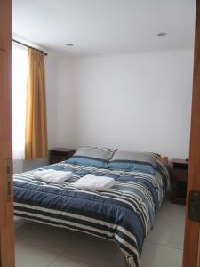蓬塔阿雷纳斯Hostal Balmaceda的一张床上有两个枕头的房间