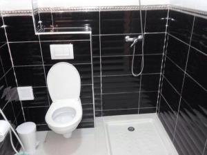 盖尼特拉Bienvenue chez vous的黑色瓷砖浴室设有卫生间和淋浴。