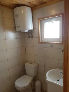 杰泽扎尼Domki Letniskowe Poranek的一间带卫生间和水槽的小浴室