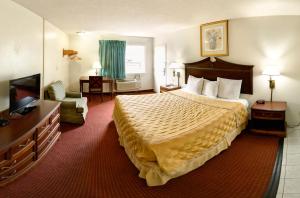 纽波特纽斯基韦斯特酒店 - 纽波特纽斯的酒店客房,配有床和电视