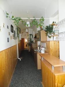 拉贝河畔乌斯季Ubytování u Kováře的一个带柜台和厨房的餐厅走廊