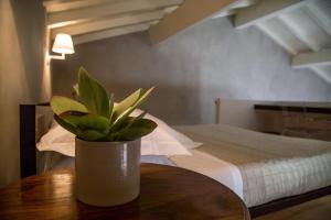 皮耶迪蒙泰埃特内奥故事餐厅及套房度假酒店的坐在床边桌子上的盆栽植物