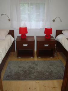 乌斯特卡Domki Zacisze的卧室里两个带灯的床头柜