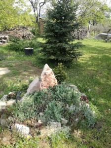 鲍洛托奈代里奇Margó Nyaraló的花园里的岩石,松树